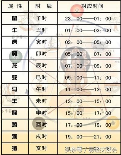 十二生肖五行對照表|天干地支五行對照表 